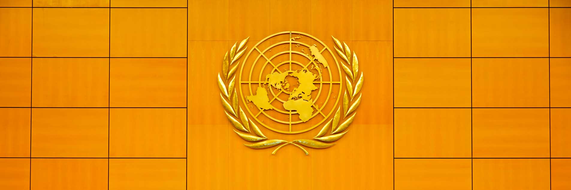 New ESC Rights Update from Geneva now available!