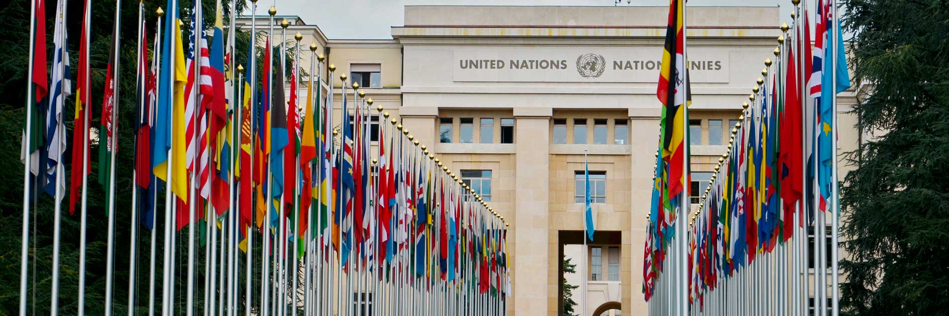 GI-ESCR: Our top five ESC rights priorities