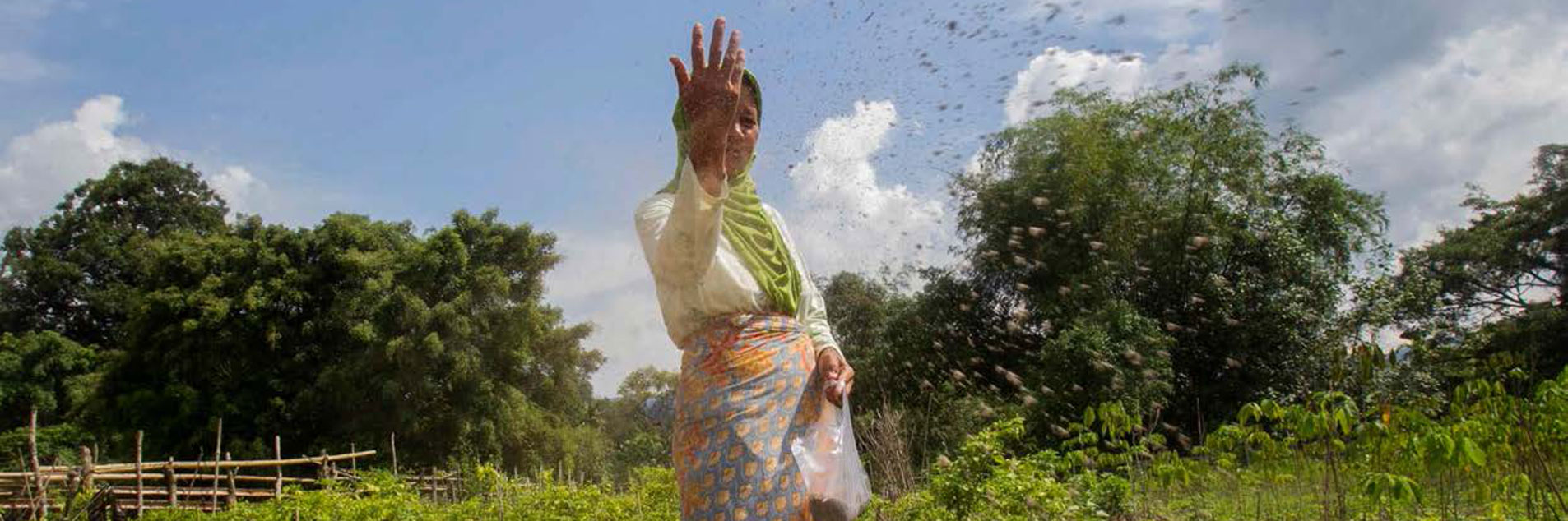 Promoting gender justice in the transition to renewable energy | Report on the event