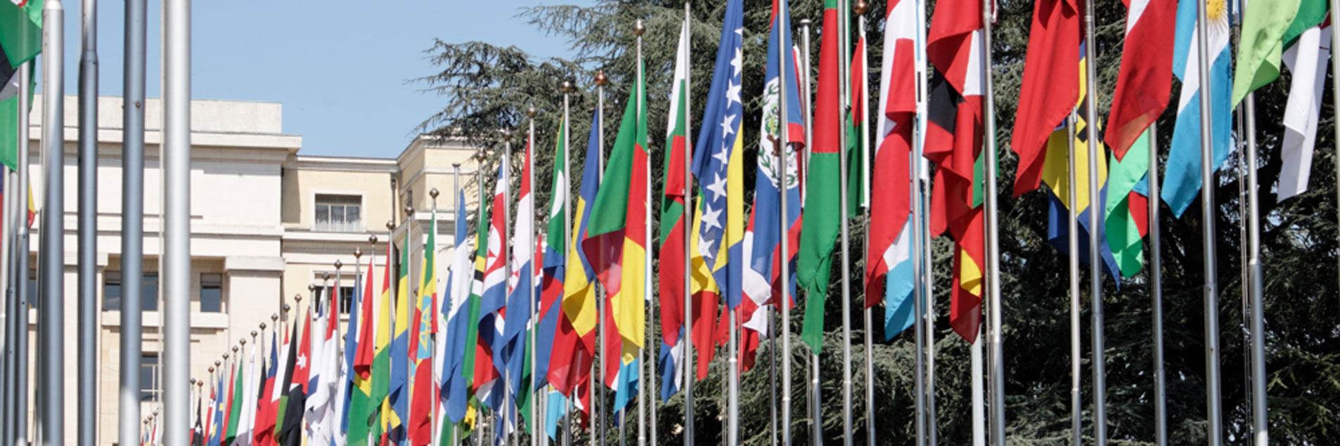 New ESC Rights Update from Geneva now available!