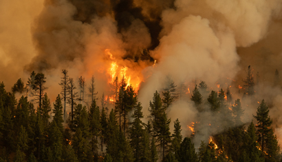 GI-ESCR submits report to the UN Special Rapporteur on a safe, clean, healthy and sustainable environment