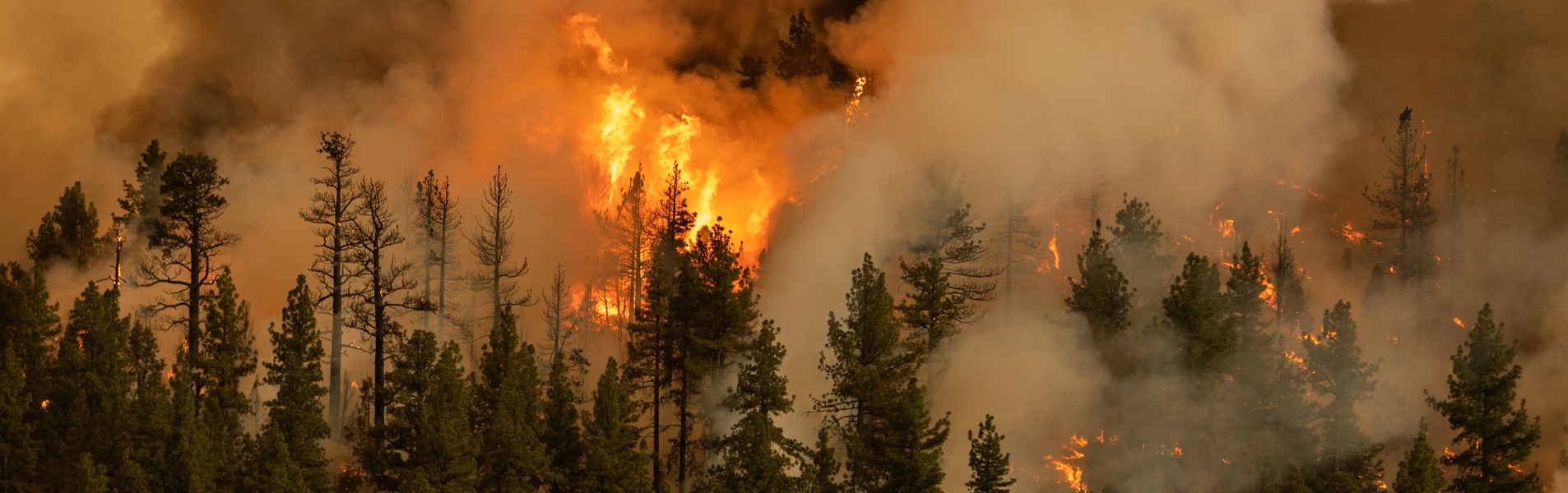 GI-ESCR submits report to the UN Special Rapporteur on a safe, clean, healthy and sustainable environment