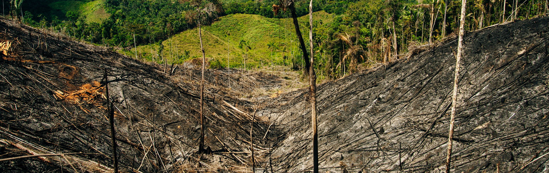 Obligaciones de los Estados en materia de derechos humanos en el contexto del cambio climático