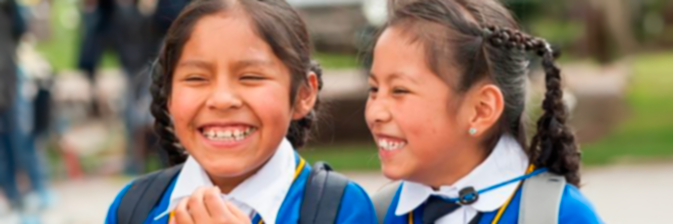 Perception of Public Services: Latin America - Lexia