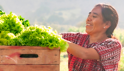 Una transición hacia la sostenibilidad guiada por el cuidado