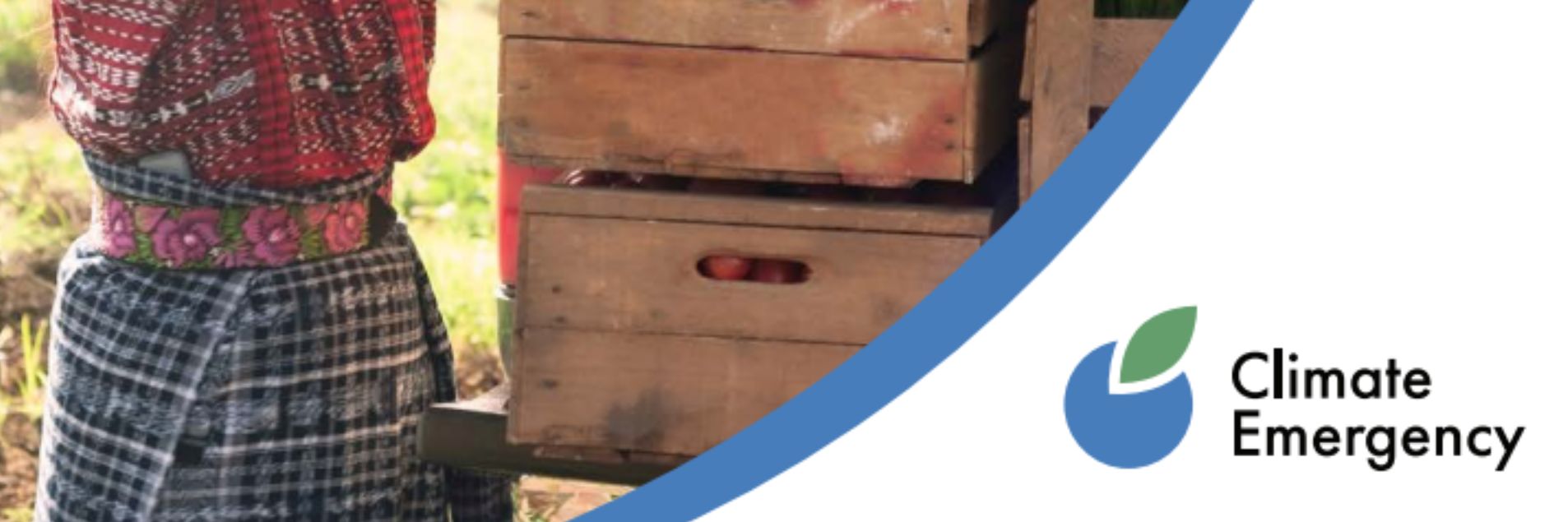 ‘A Care-led Transition to a Sustainable Future’: New briefing paper unveils the interplay between care and climate change