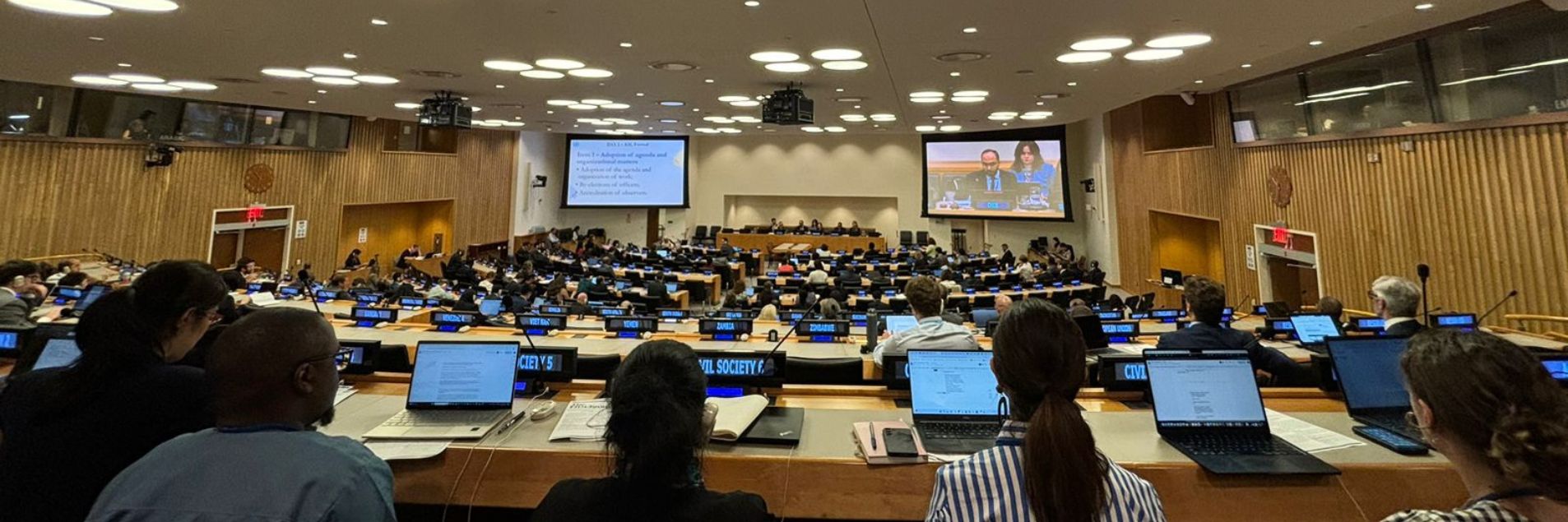 Towards a UN Framework Convention on International Taxation that Prioritises Human Rights