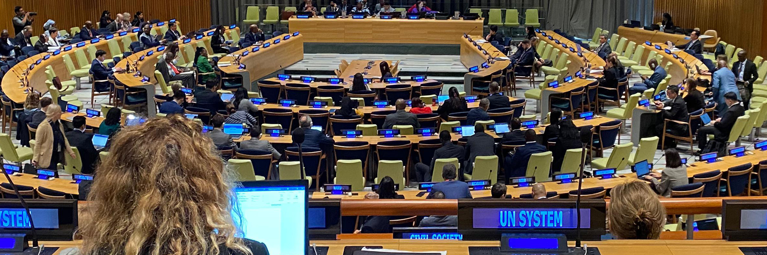 GI-ESCR’s Active Involvement in the Process Towards the New Pact for the Future 