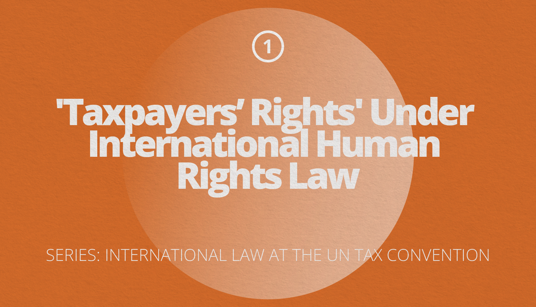 'Taxpayers Rights' Under International Human Rights Law | Series: International Law at the UN Tax Convention